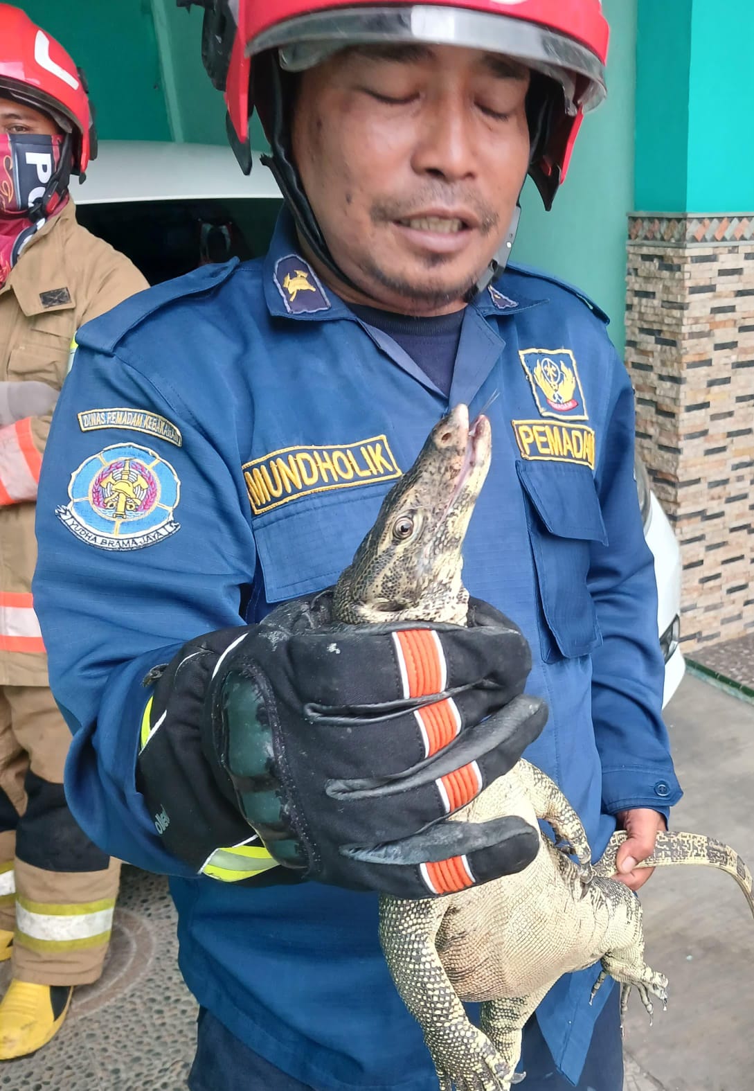 Damkarmat Pos Kota Evakuasi Biawak Masuk Rumah di Sumberejo
