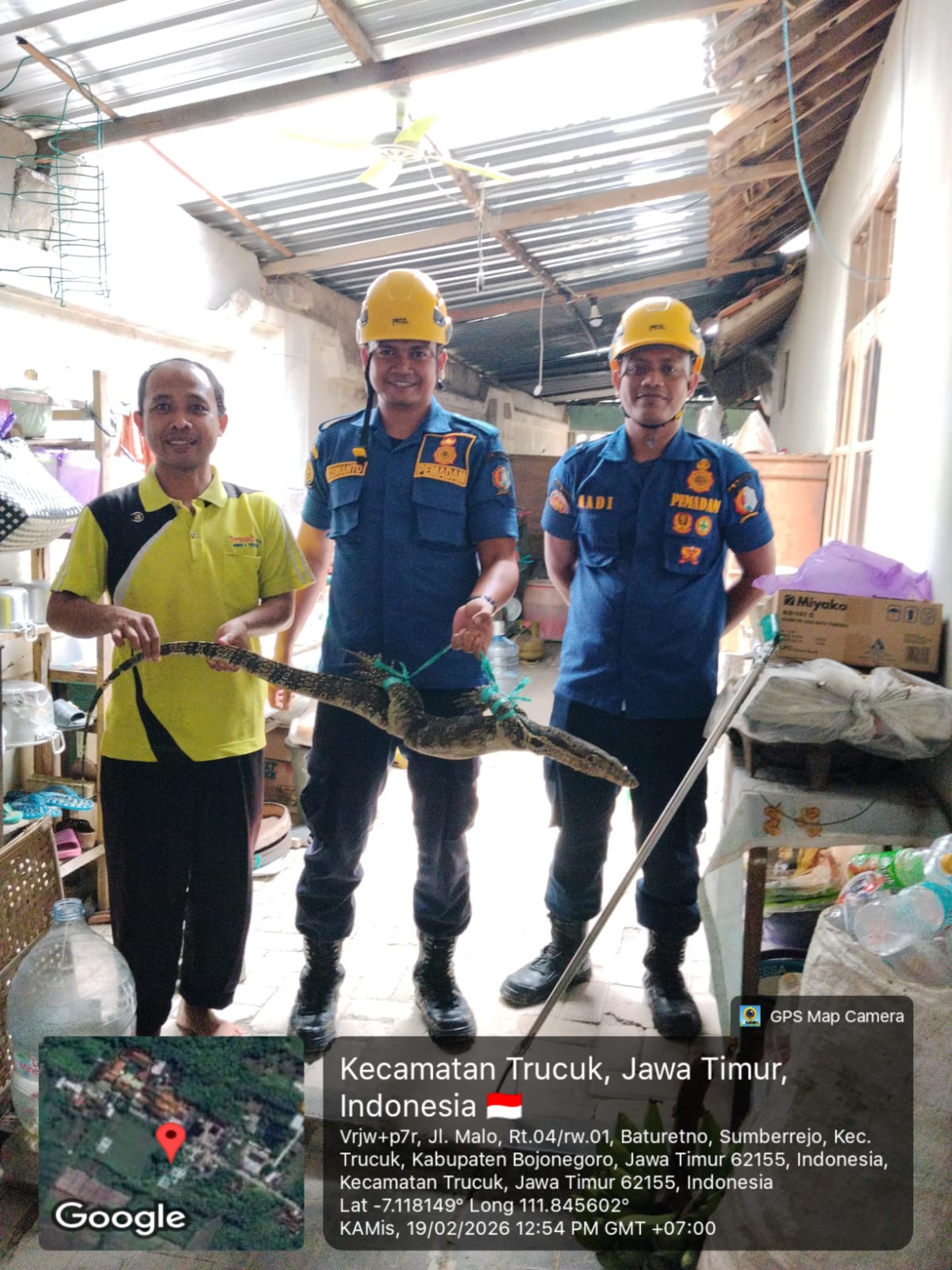 Damkarmat Pos Baureno Evakuasi Biawak Masuk Rumah Warga di Desa Banjaran