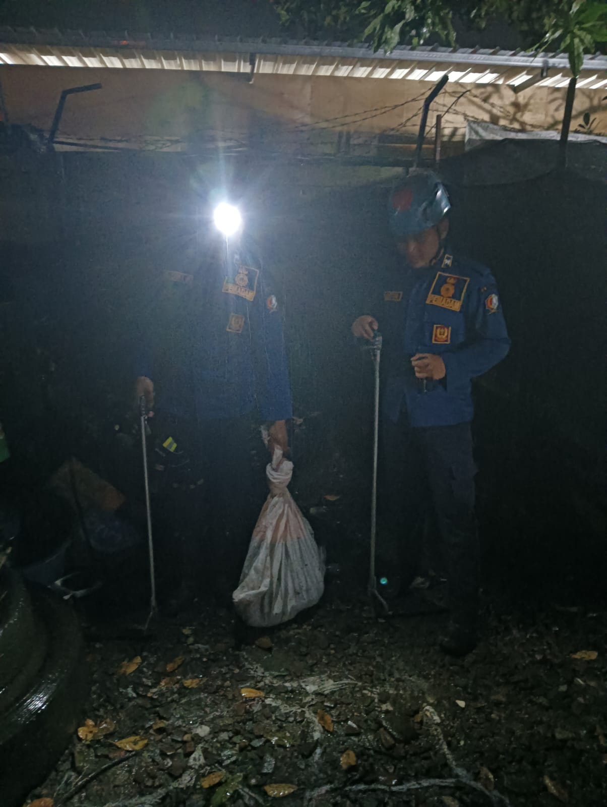 Damkarmat Pos Kota Laksanakan Evakuasi Ular di Desa Campurejo
