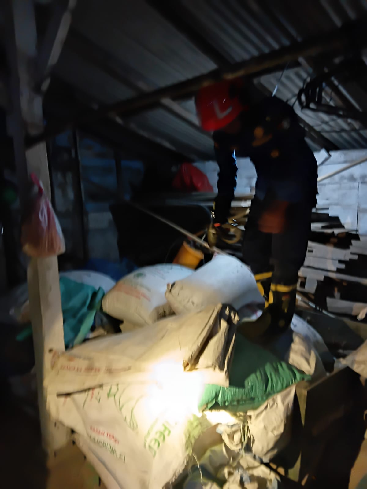 Damkarmat Pos Bantu Temayang Evakuasi Ular di Desa Temayang