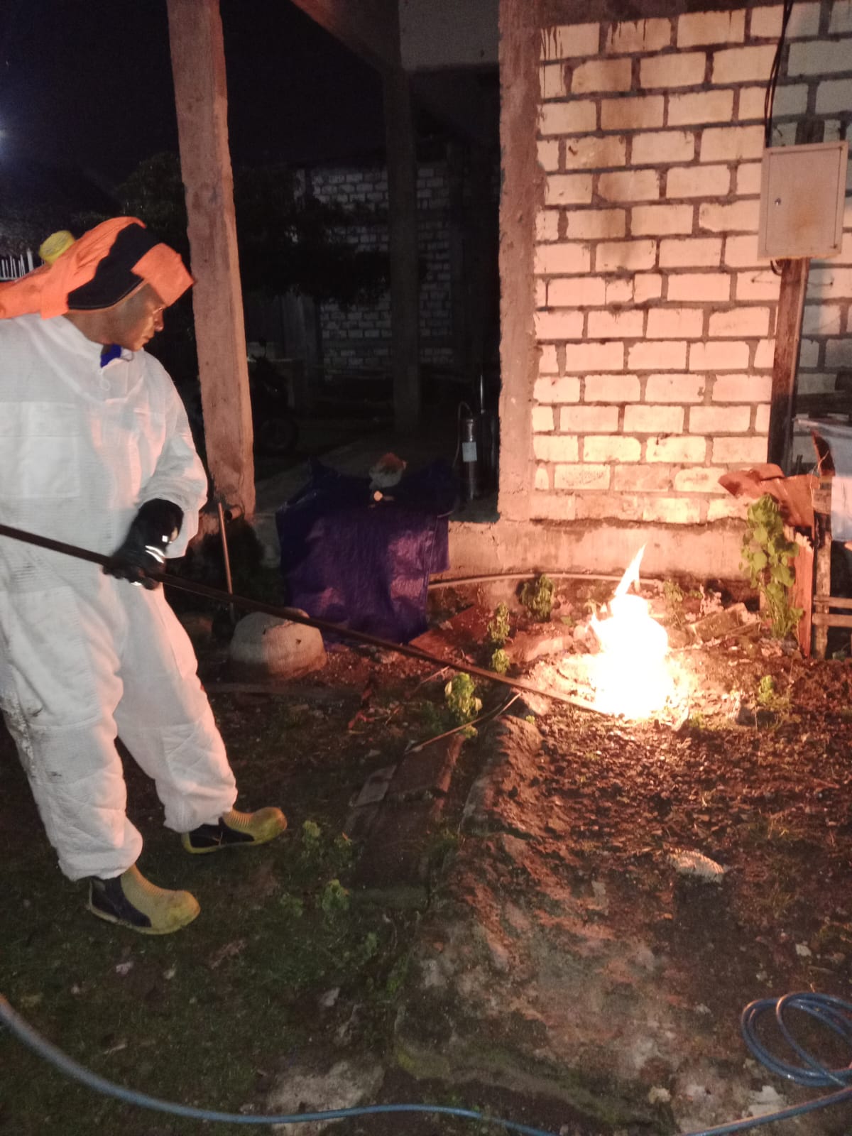 Damkarmat Bojonegoro Tangani Sarang Tawon Vespa Affinis di Kecamatan Kapas