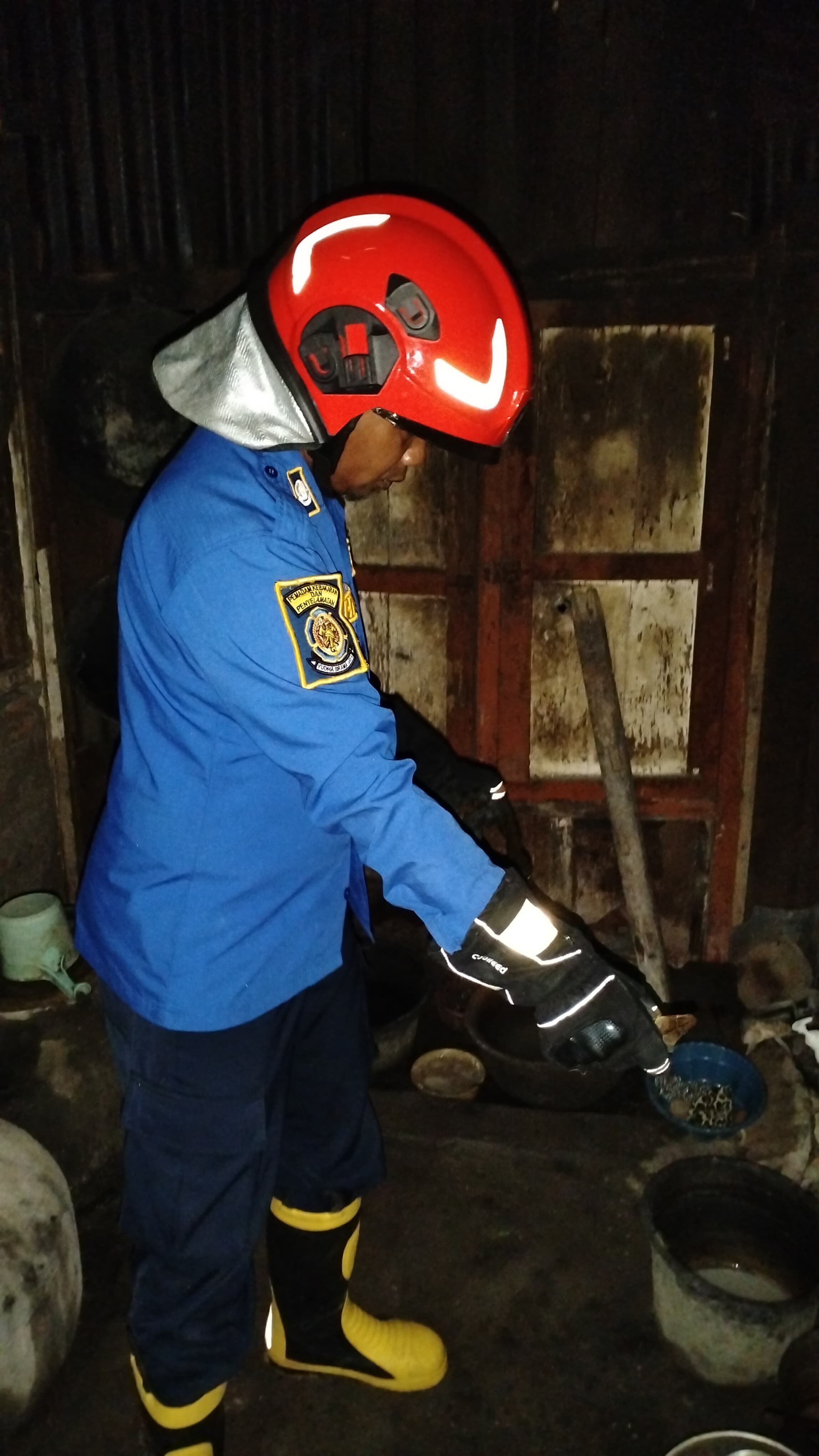 Damkarmat Bojonegoro Evakuasi Ular Sanca di Desa Kolong