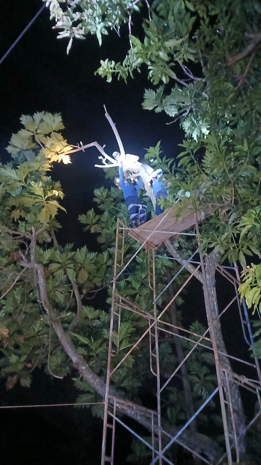 Damkarmat Bojonegoro Evakuasi Korban Tersengat Listrik di Desa Pajeng, Gondang