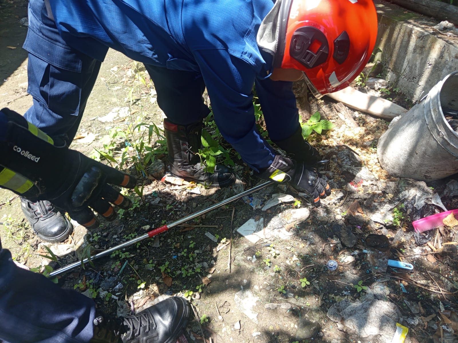 Damkarmat Bojonegoro Tangani Ular di Permukiman Warga Sumberrejo