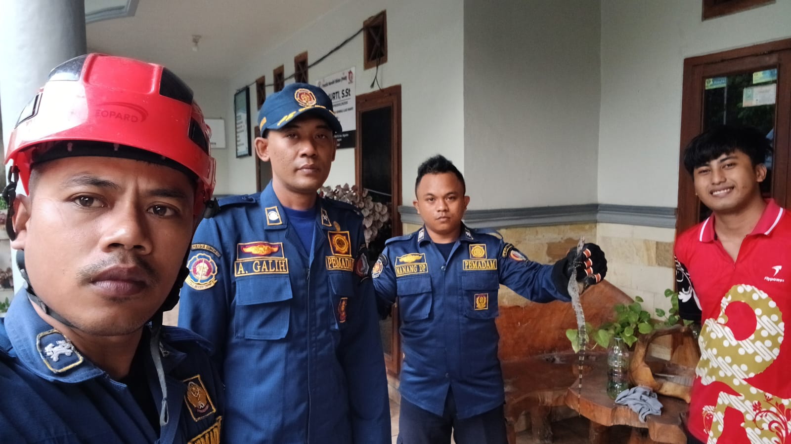 Damkarmat Bojonegoro Evakuasi Biawak di Permukiman Warga Ngraho
