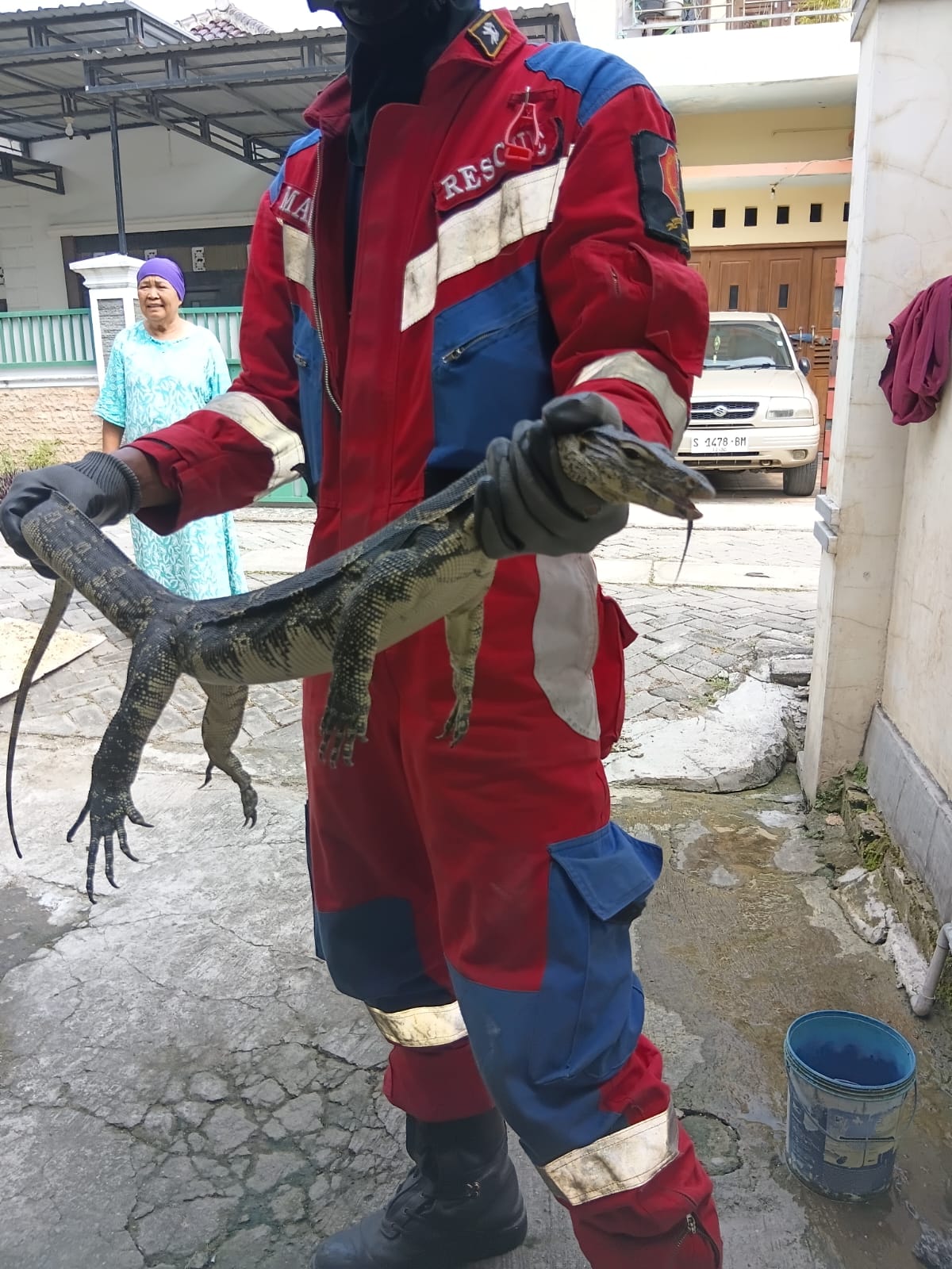 Damkarmat Bojonegoro Evakuasi Biawak dari Rumah Warga di Campurejo
