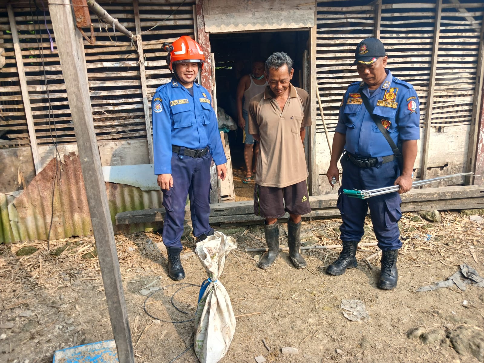 Damkar Bojonegoro Evakuasi Cobra Jawa di Rumah Warga Kedungadem