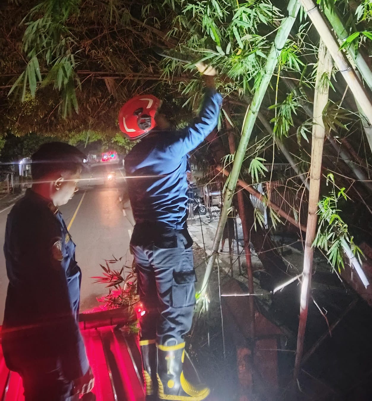 Damkar Bojonegoro Evakuasi Pohon Tumbang di Jalur Bojonegoro–Cepu