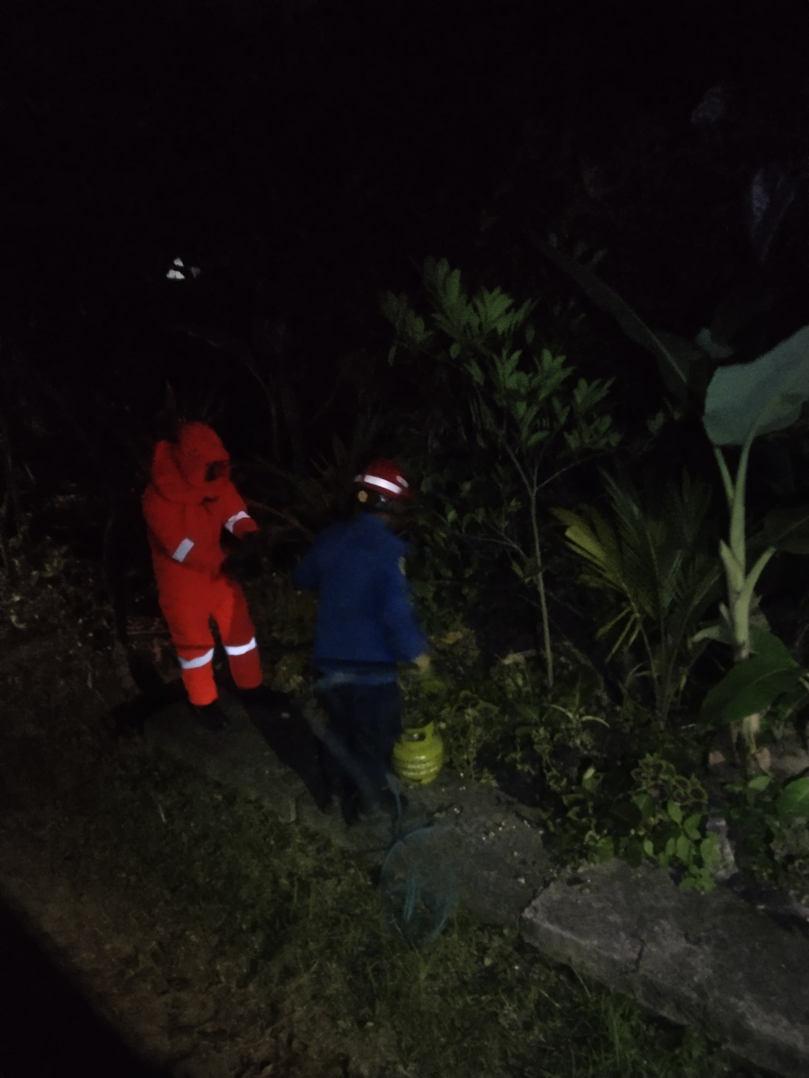Damkarmat Bojonegoro Berhasil Evakuasi Sarang Tawon di Desa Kalianyar
