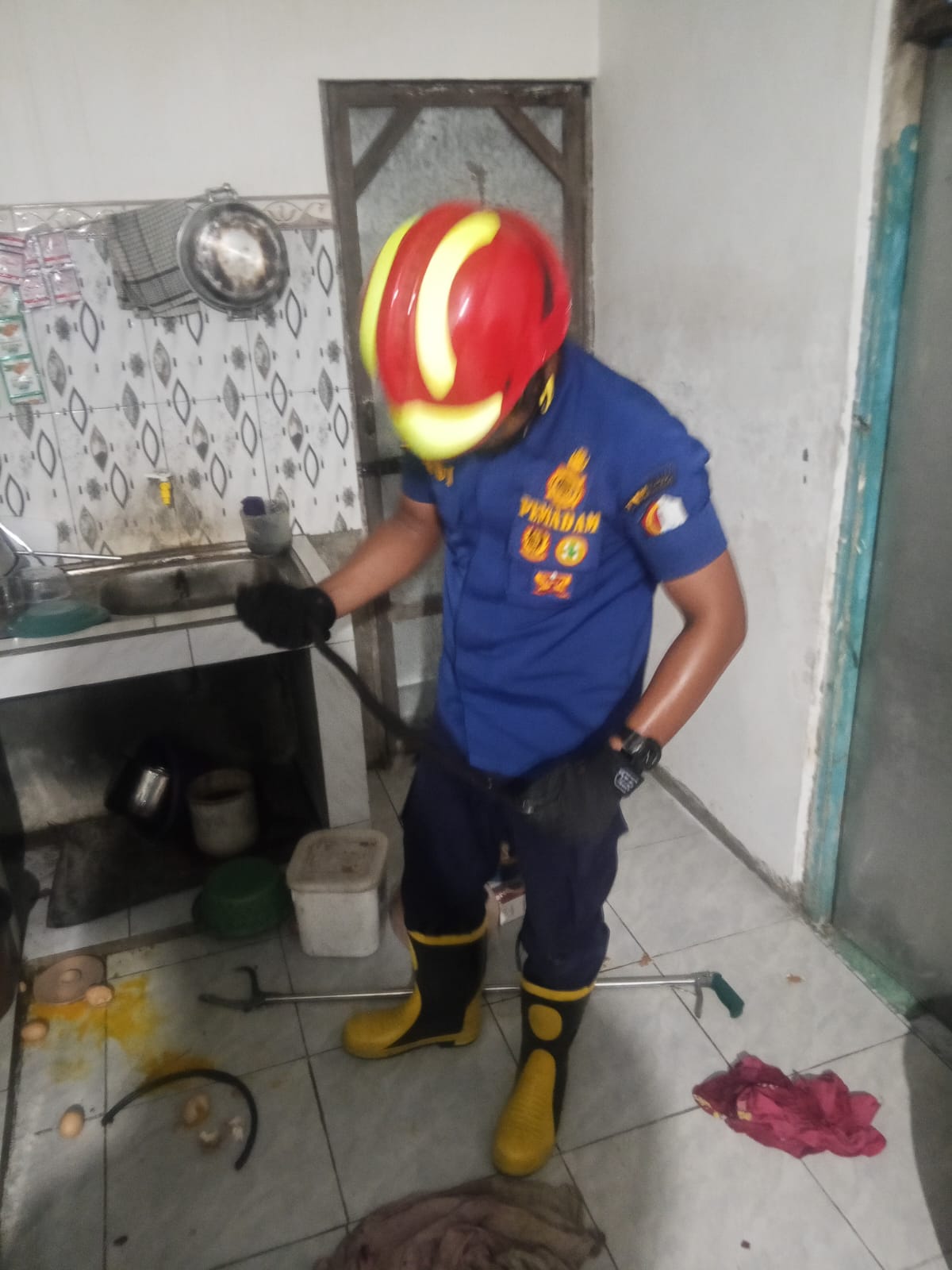 Damkarmat Bojonegoro Evakuasi Ular Kobra dari Rumah Warga di Kelurahan Ngrow