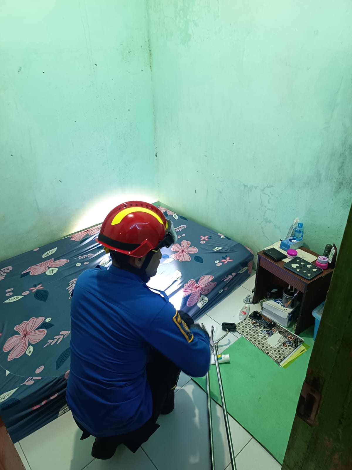 Damkarmat Bojonegoro Evakuasi Ular Kobra dari Rumah Warga di Kelurahan Ledok Wetan