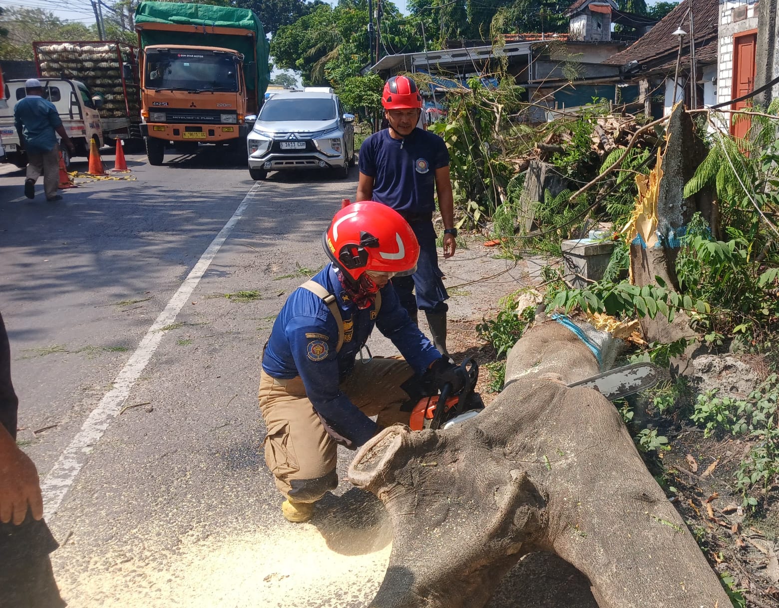 Damkarmat Bojonegoro Tangani Pohon Tumbang di Jalur Babat–Bojonegoro