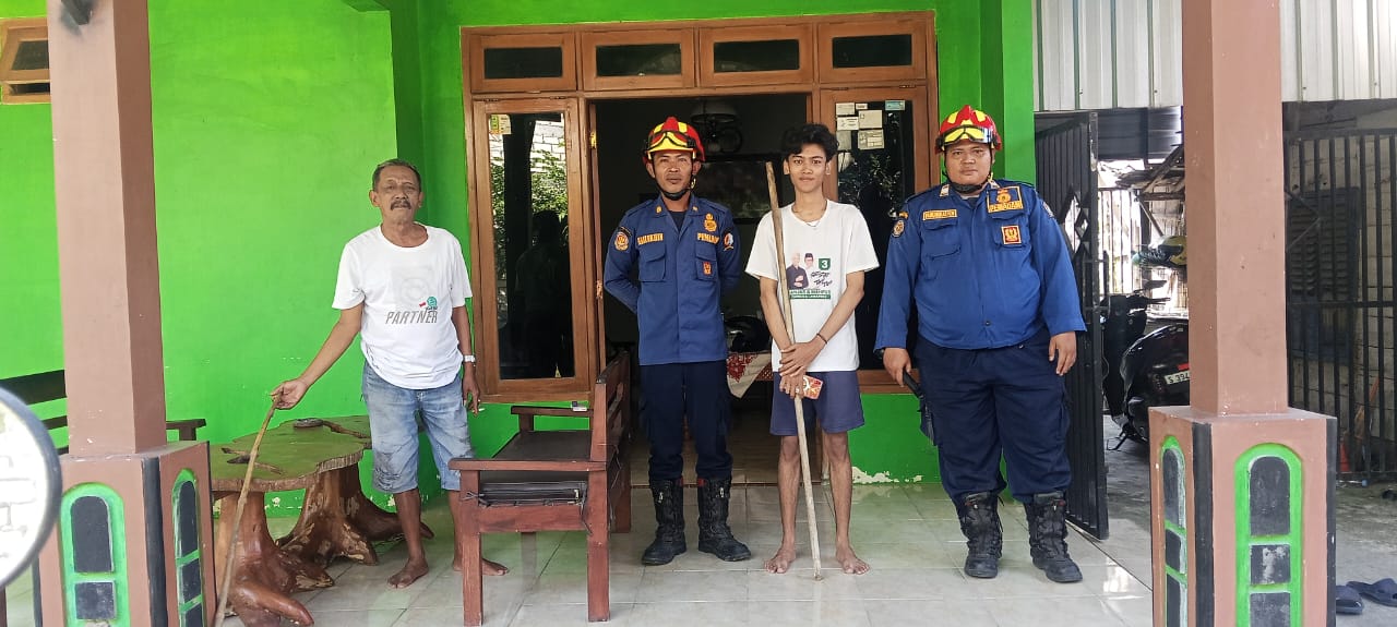 Damkarmat Bojonegoro Evakuasi Ular Kobra dari Rumah Warga di Desa Ngumpak Dalem