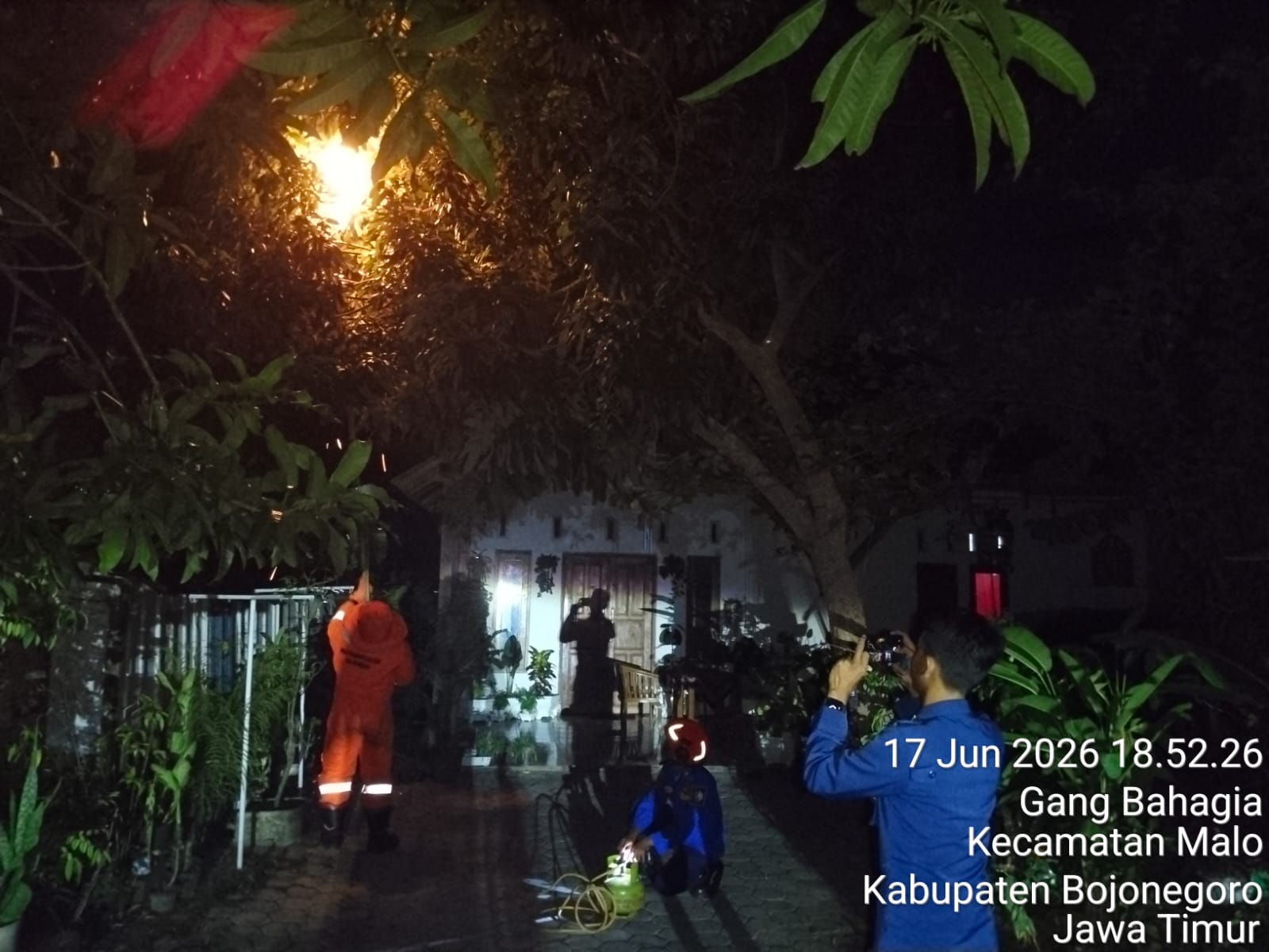 Damkarmat Bojonegoro Evakuasi Sarang Tawon Vespa Affinis di Desa Malo