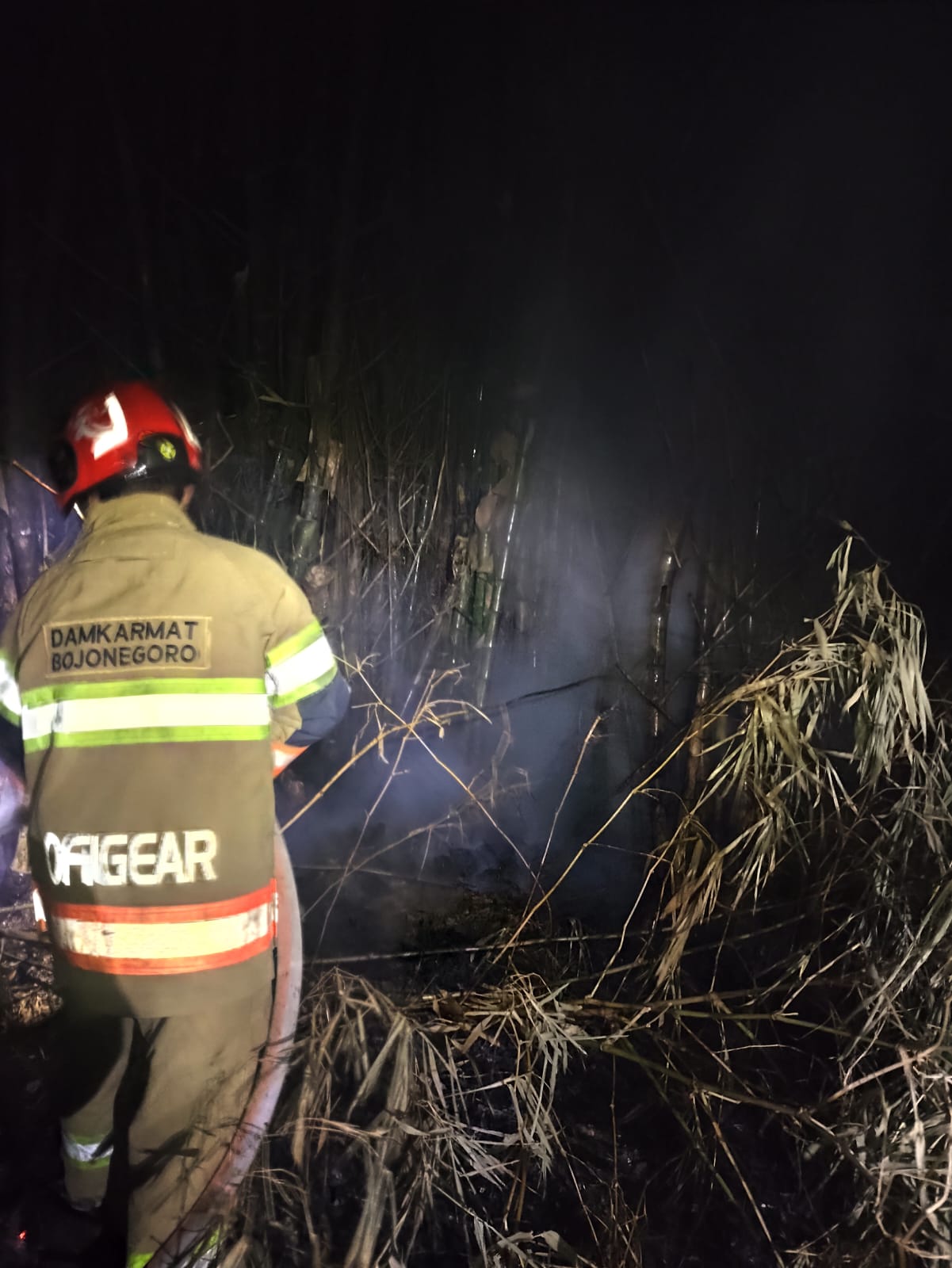 Damkarmat Bojonegoro Padamkan Kebakaran Rumpun Bambu di Kecamatan Sumberrejo