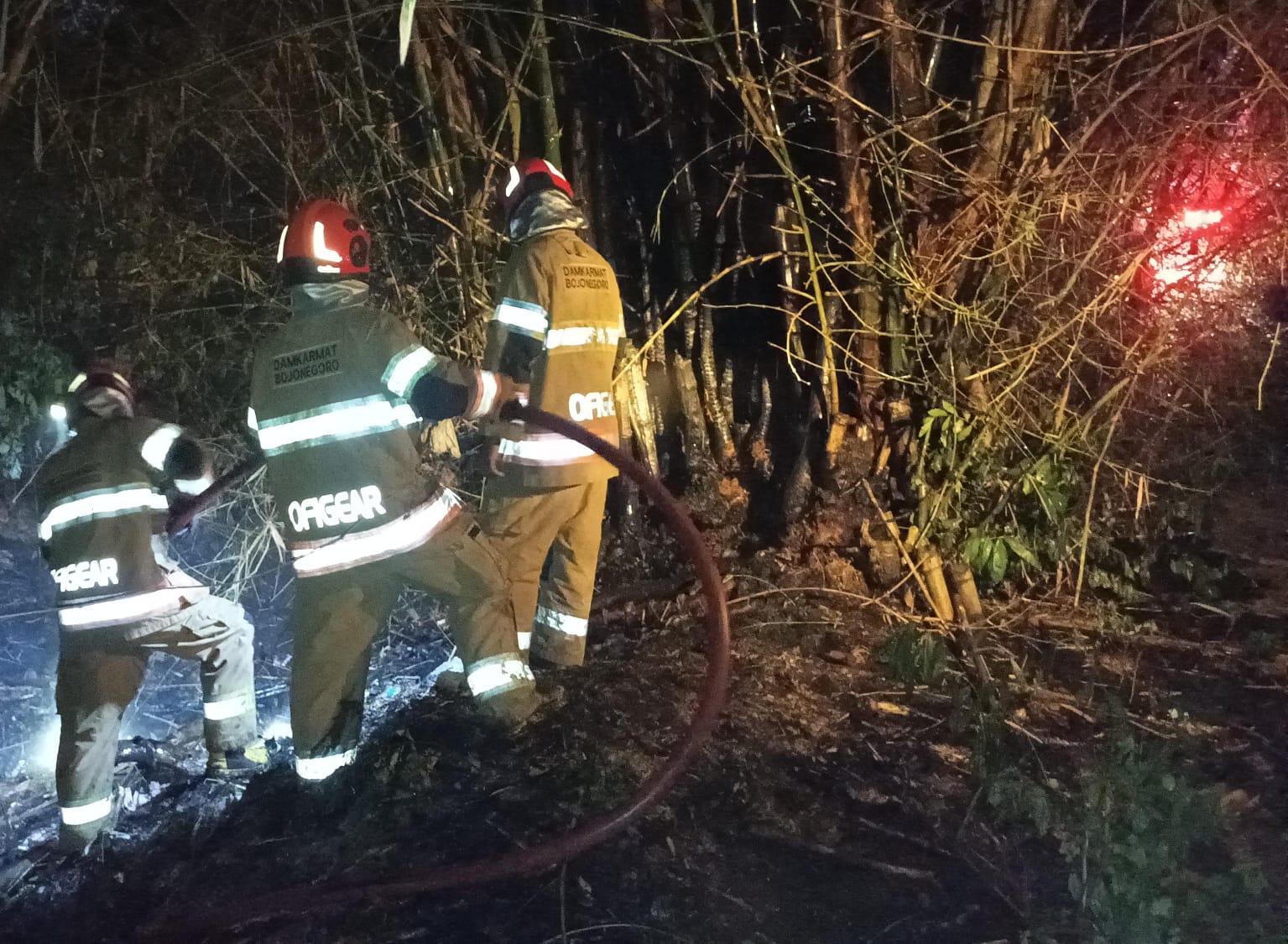 Damkar Bojonegoro Berhasil Padamkan Kebakaran Rumpun Bambu di Kalitidu.
