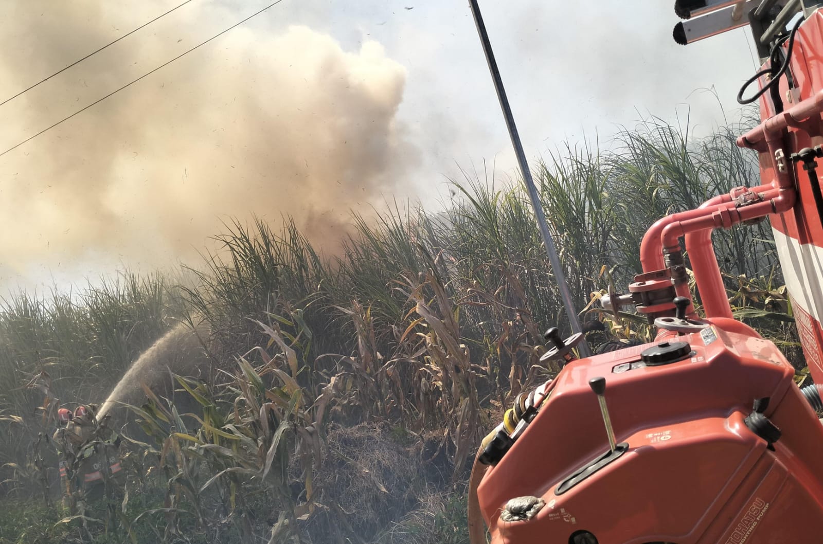 Damkar Bojonegoro Berhasil Kendalikan Kebakaran Lahan Tebu di Wilayah Ngasem