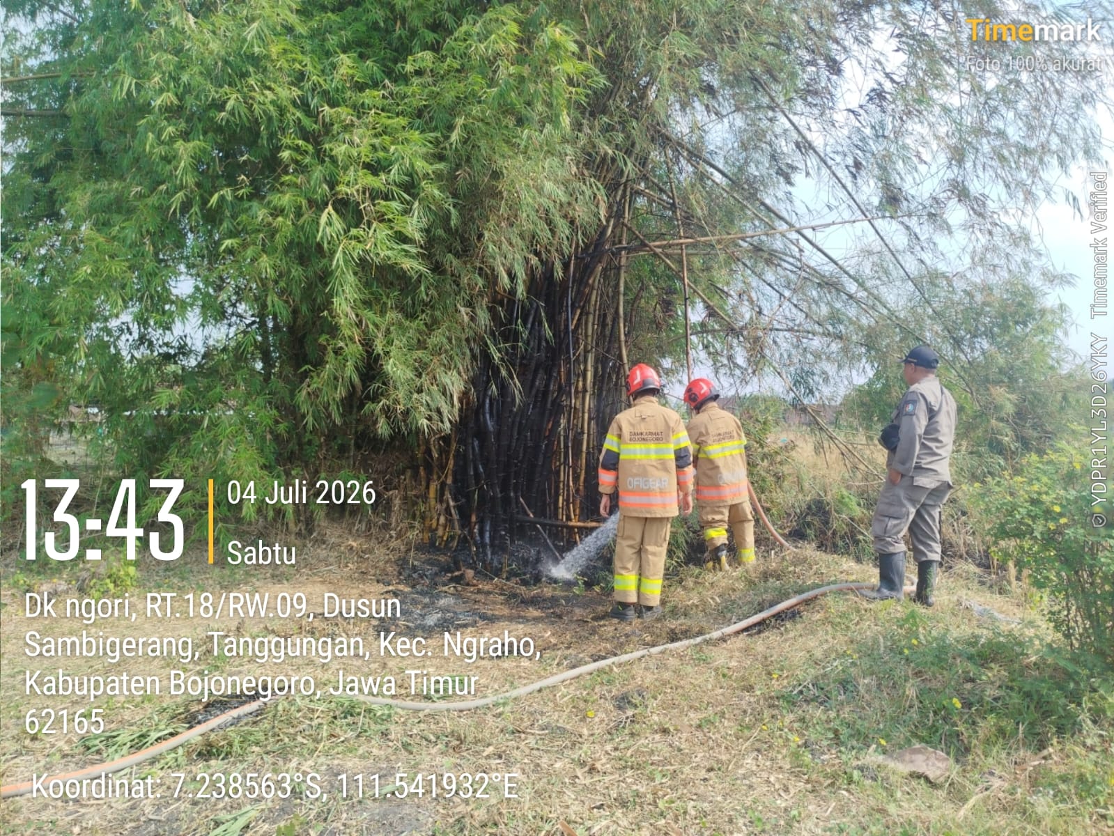 Damkarmat Bojonegoro Berhasil Kendalikan Kebakaran Rumpun Bambu di Kecamatan Ngraho