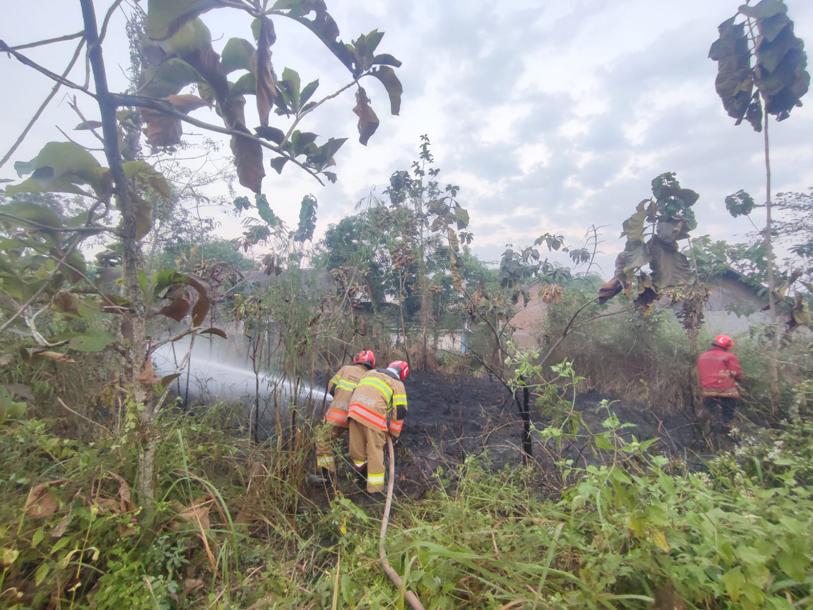 Damkarmat Bojonegoro Berhasil Cegah Perambatan Kebakaran Lahan Kosong di Desa Pojok