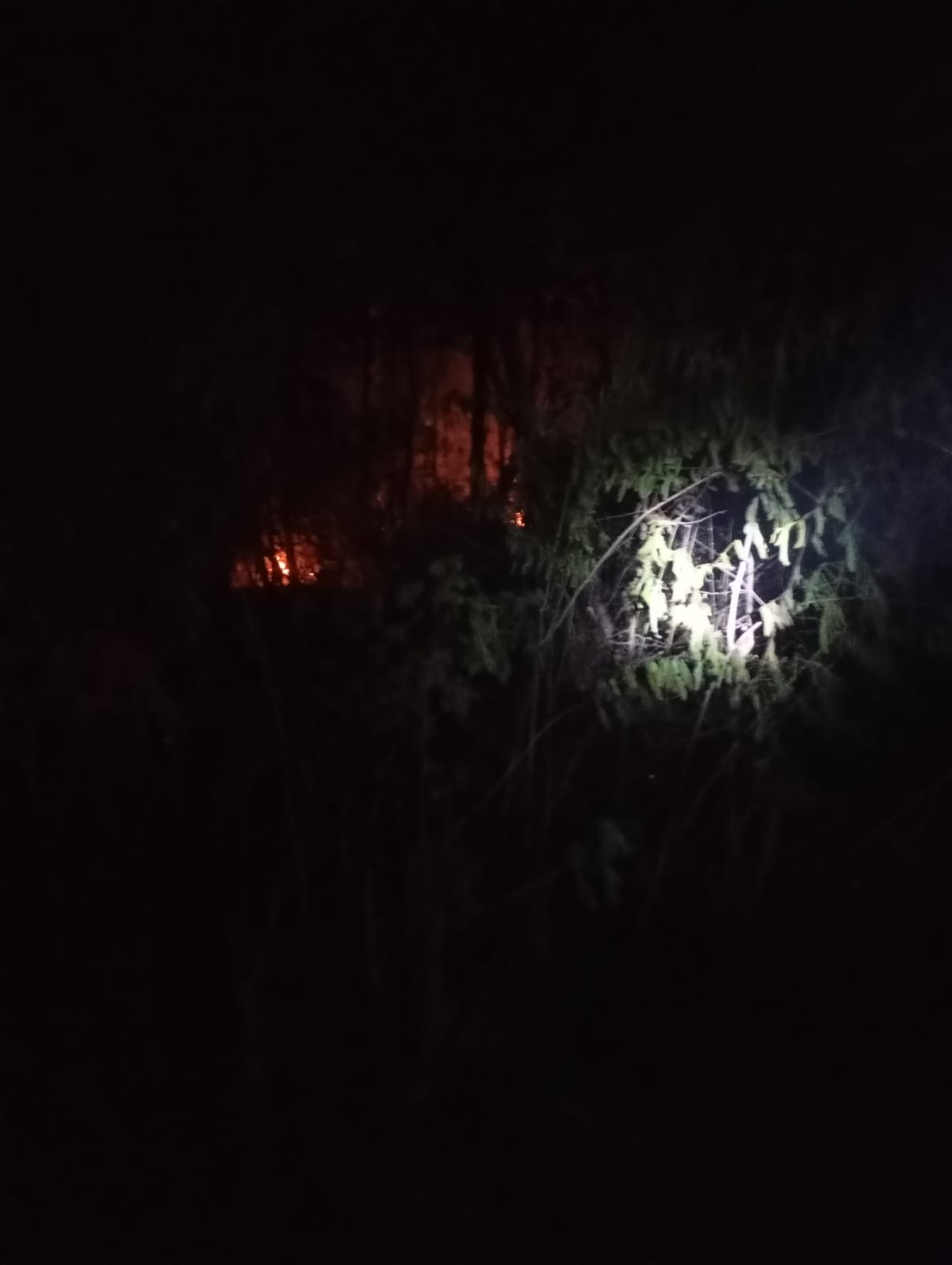 Damkarmat Bojonegoro Berhasil Padamkan Kebakaran Lahan Kosong di Desa Bumiayu