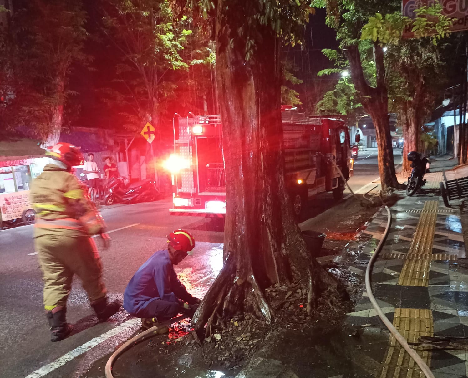 Damkarmat Bojonegoro Berhasil Padamkan Kebakaran Pohon Sono di Jalan Dr. Wahidin