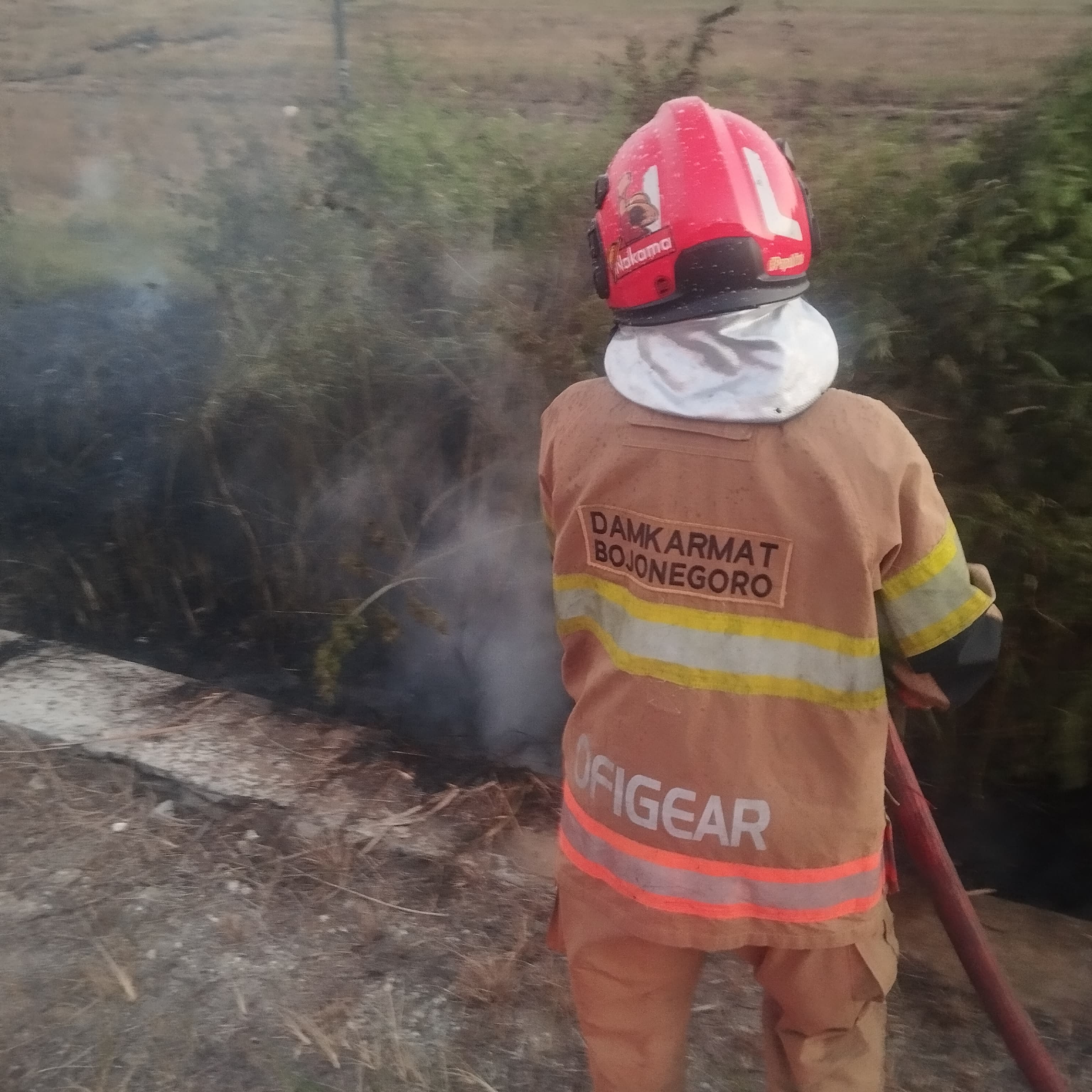 Damkarmat Bojonegoro Tangani Kebakaran Lahan di Depan Kantor Kecamatan Kapas