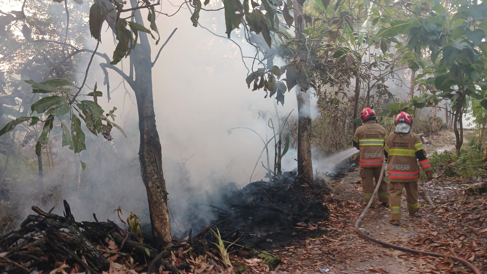 Damkarmat Bojonegoro Berhasil Padamkan Kebakaran Rumpun Bambu di Desa Beged