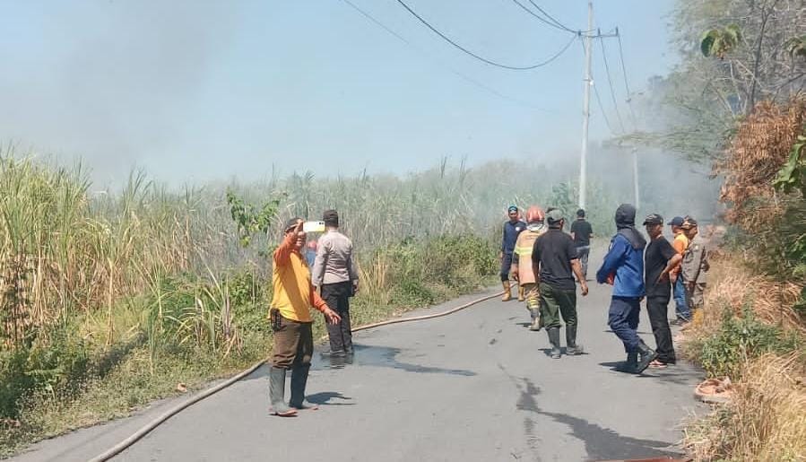 Damkarmat Bojonegoro Berhasil Tangani Kebakaran Lahan Tebu di Kecamatan Ngasem