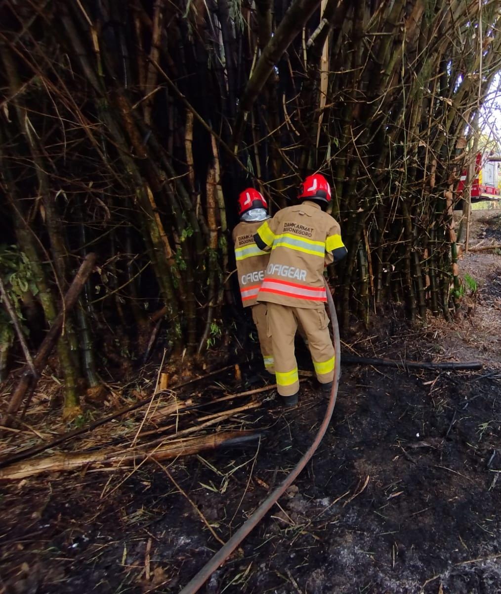 Damkarmat Bojonegoro Berhasil Cegah Api Merambat ke Rumpun Bambu di Desa Banjarsari
