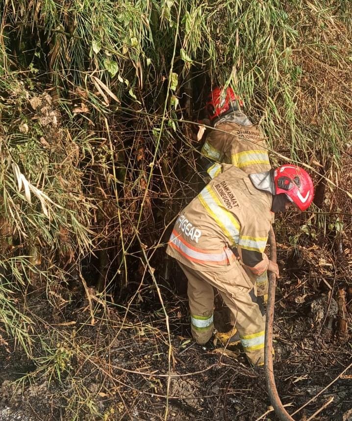 Damkarmat Pos Sumberrejo Berhasil Padamkan Kebakaran Rumpun Bambu di Desa Sumberrejo