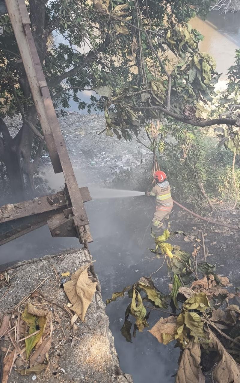 Damkarmat Pos Padangan Berhasil Selamatkan Ratusan Batang Bambu dari Kebakaran di Desa Purworejo