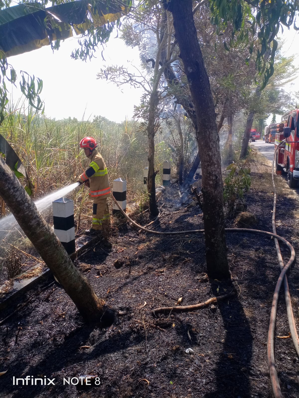 Damkarmat Bojonegoro Berhasil Padamkan Kebakaran Lahan Tebu di Tambakrejo