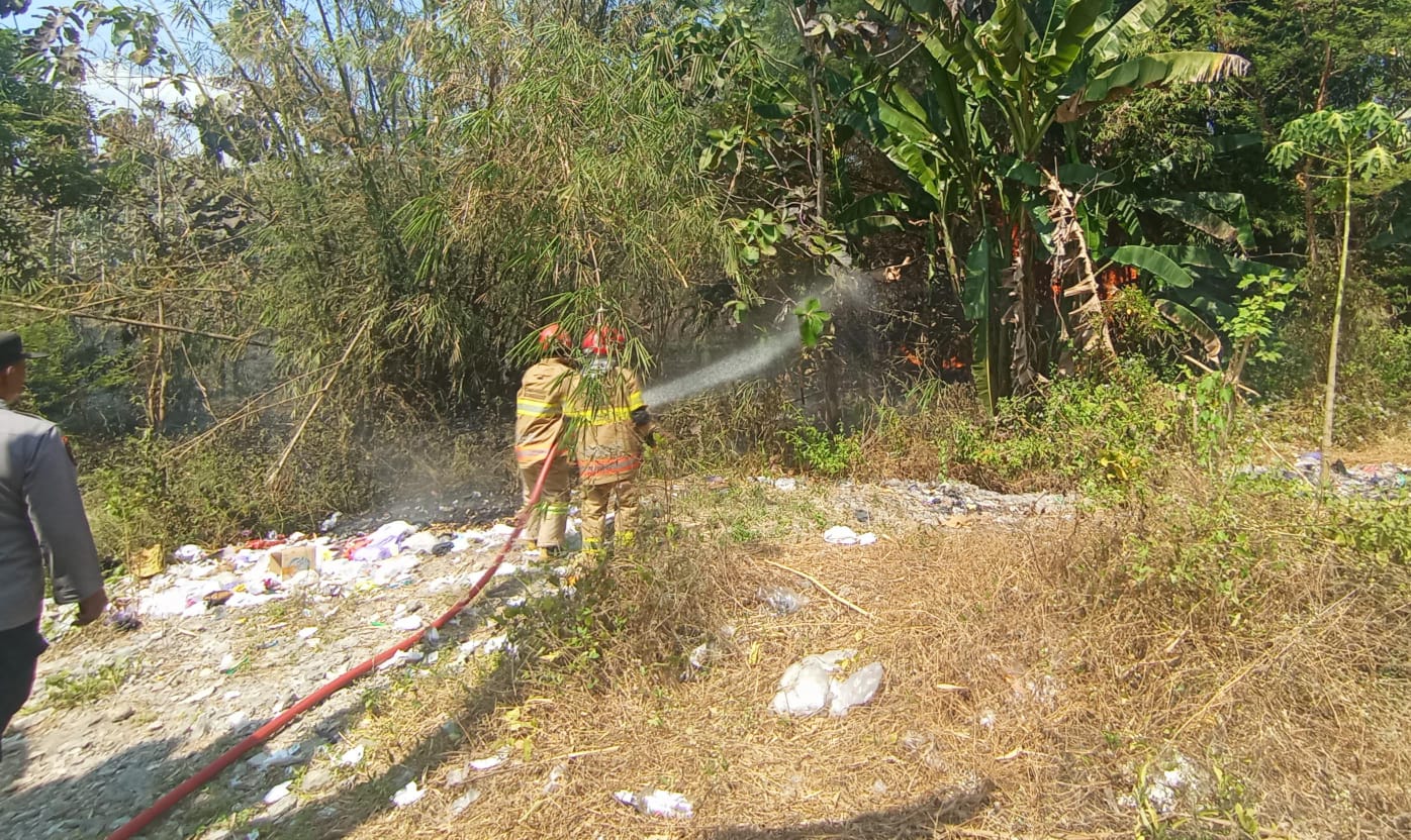 Damkarmat Bojonegoro Berhasil Padamkan Kebakaran Lahan dan Rumpun Bambu di Ngraho