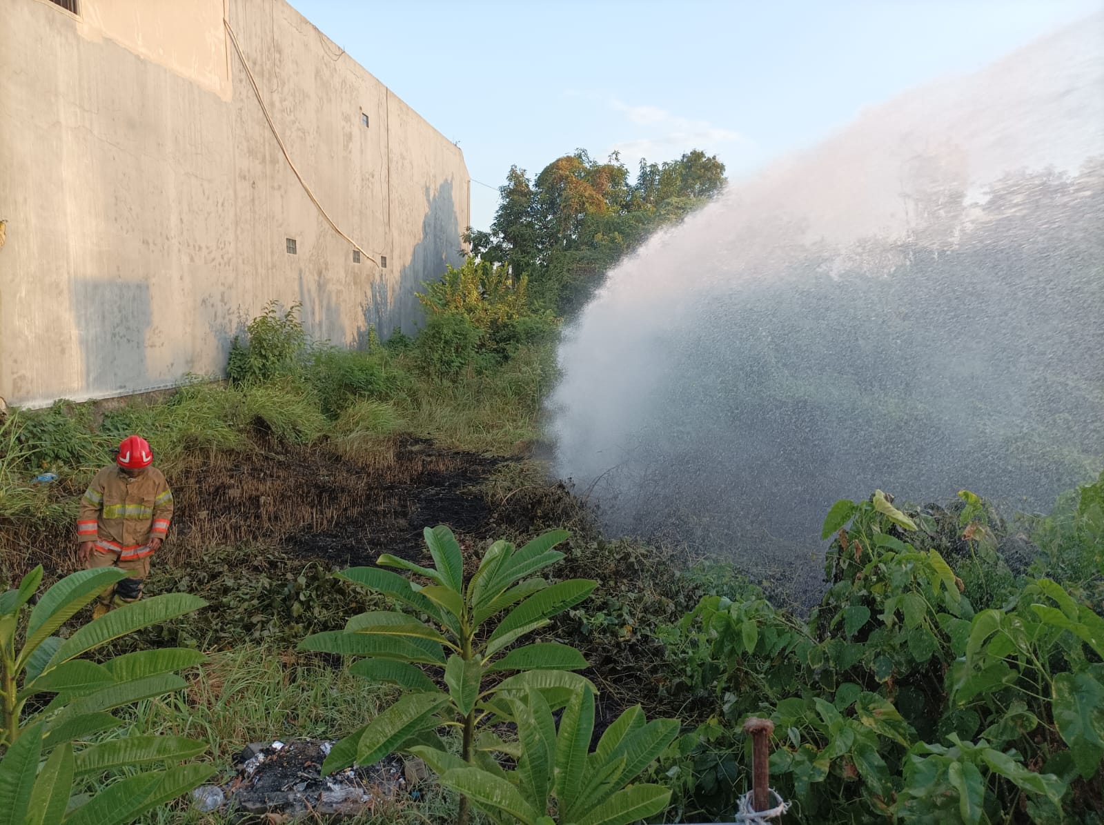 Damkarmat Bojonegoro Tangani Kebakaran Lahan di Ledok Kulon