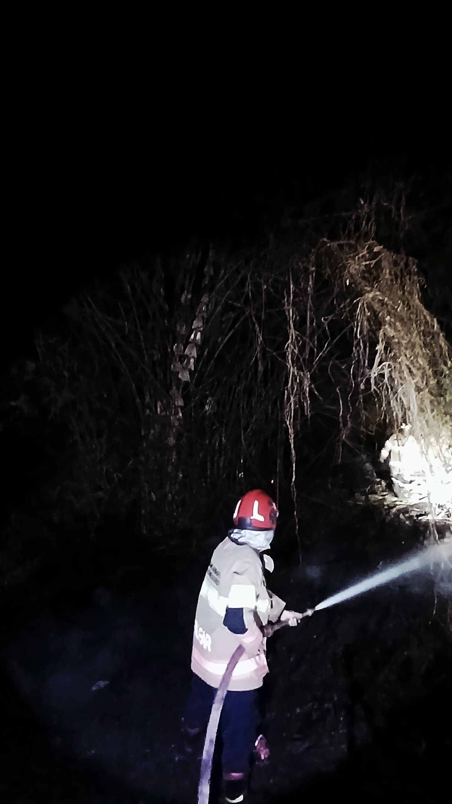 Damkarmat Bojonegoro Berhasil Padamkan Kebakaran Rumpun Bambu di Kedungadem
