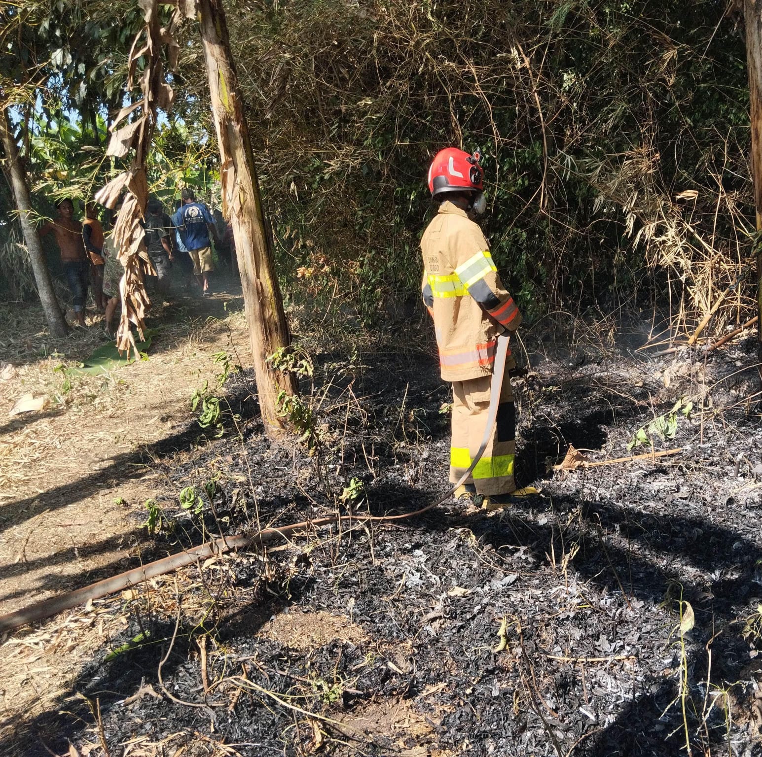 Damkarmat Bojonegoro Berhasil Tangani Kebakaran Lahan Bambu di Kedungadem