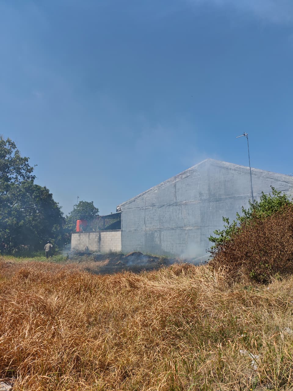 Damkarmat Bojonegoro Berhasil Padamkan Kebakaran Lahan Bambu di Desa Sidomulyo