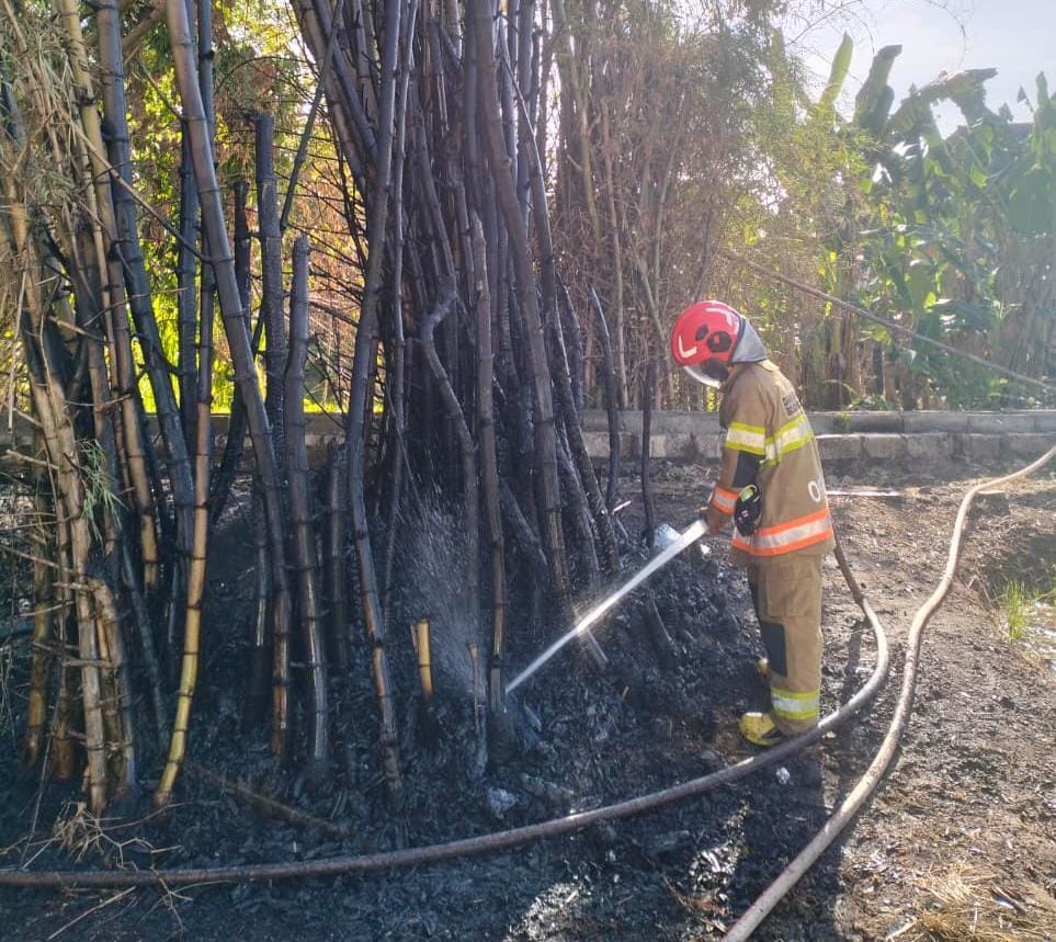Damkarmat Bojonegoro Berhasil Padamkan Kebakaran Rumpun Bambu di Desa Sarirejo, Kecamatan Balen