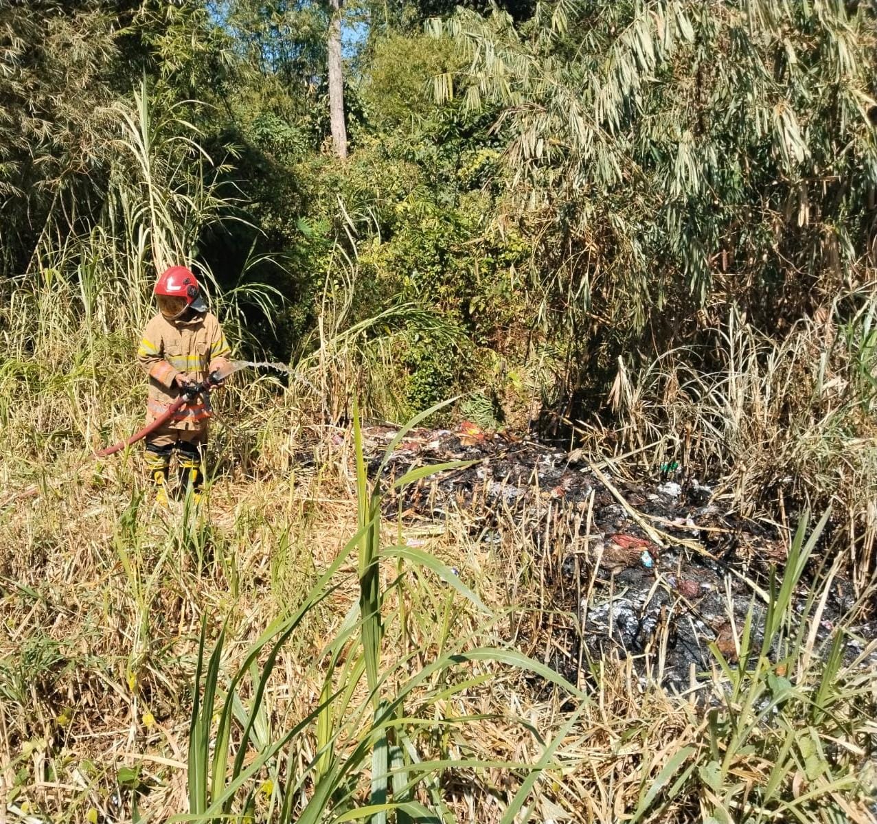 Damkarmat Bojonegoro Berhasil Tangani Kebakaran Rumpun Bambu di Desa Ngablak, Kecamatan Dander