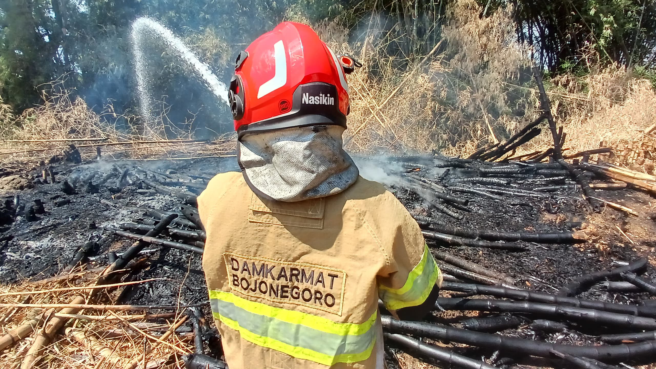 Damkarmat Bojonegoro Berhasil Padamkan Kebakaran Rumpun Bambu di Kecamatan Sukosewu