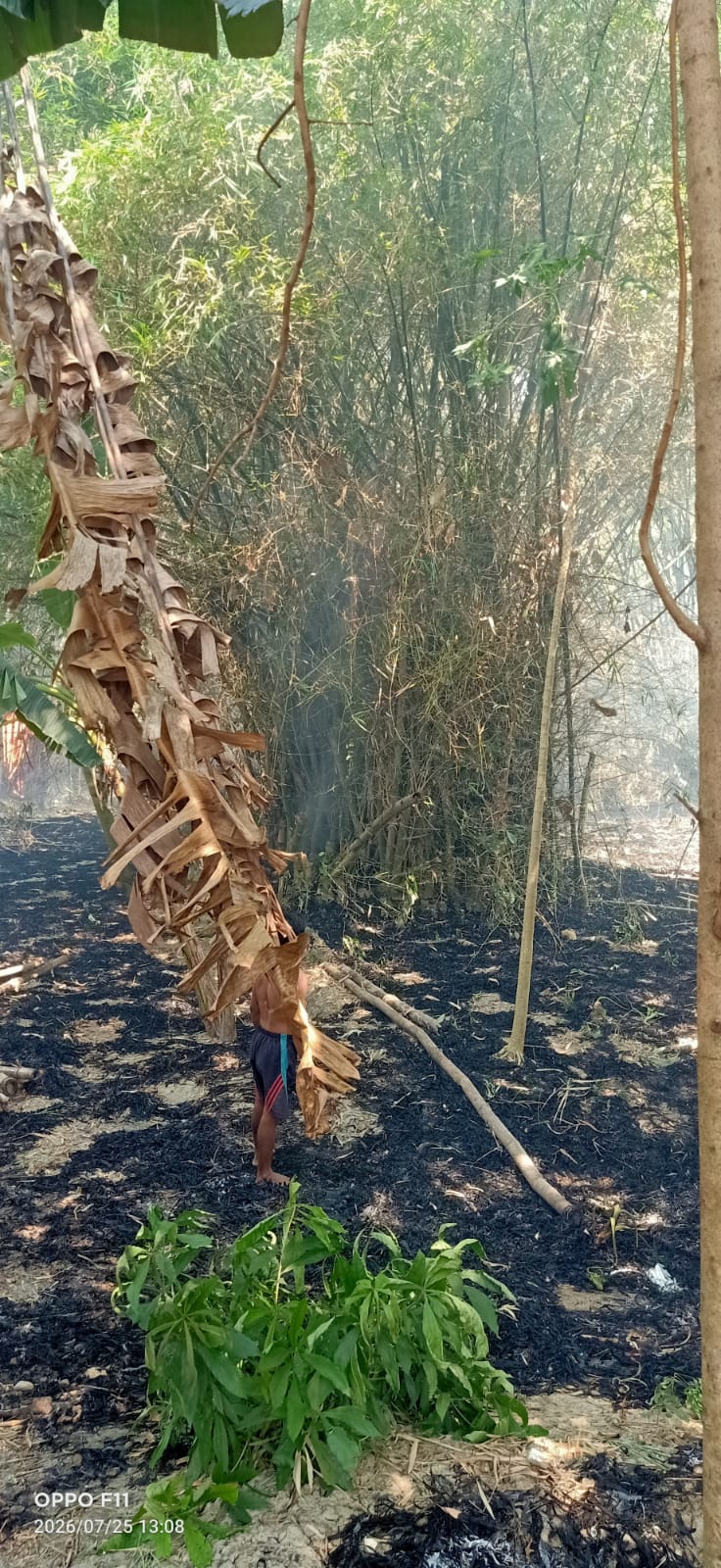 Damkarmat Bojonegoro Berhasil Tangani Kebakaran Rumpun Bambu di Desa Pomahan