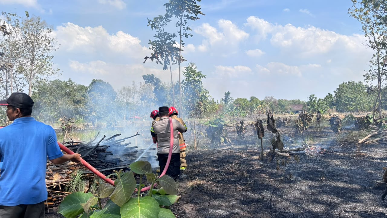 Damkarmat Bojonegoro Berhasil Padamkan Kebakaran Lahan Jati di Kasiman