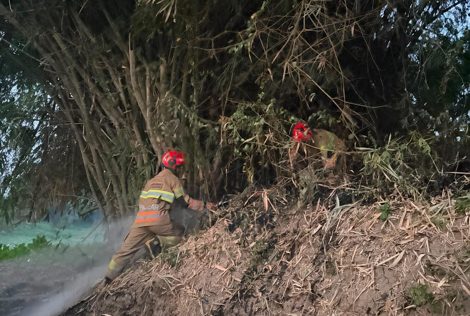 Damkarmat Bojonegoro Berhasil Padamkan Kebakaran Rumpun Bambu di Desa Ngablak