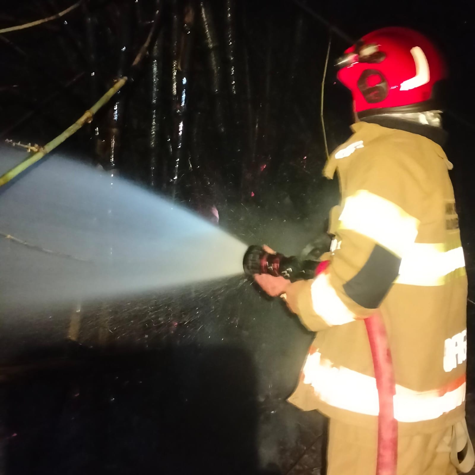 Damkarmat Bojonegoro Berhasil Padamkan Kebakaran Rumpun Bambu di Desa Cendono