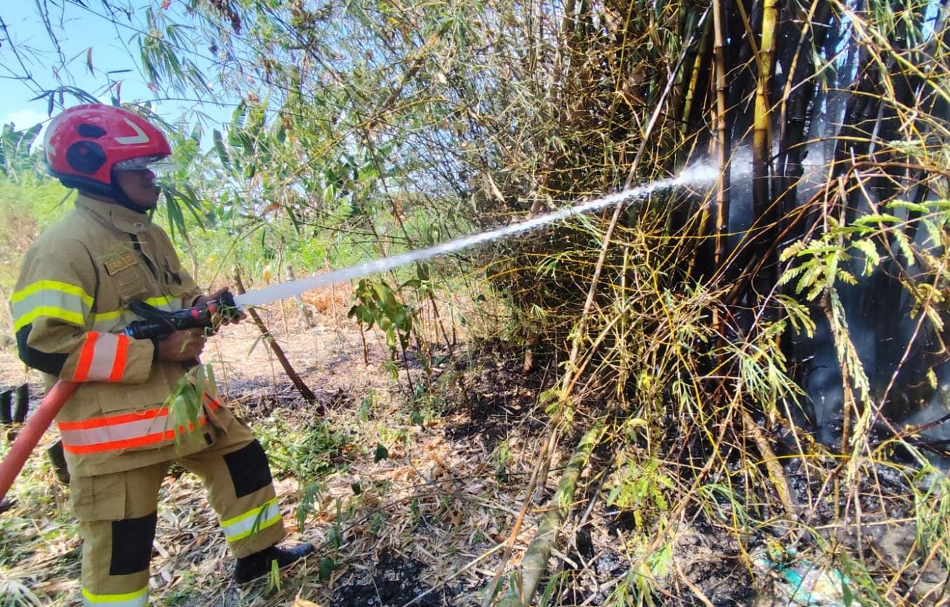 Damkarmat Bojonegoro Berhasil Padamkan Kebakaran Rumpun Bambu di Baureno