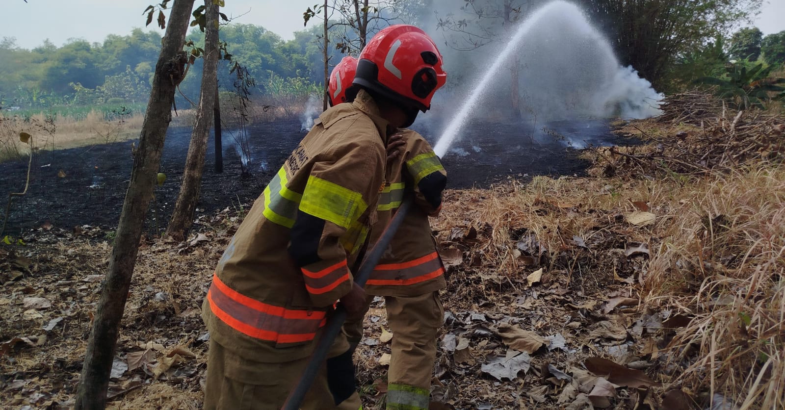 Damkarmat Bojonegoro Tangani Kebakaran Lahan Dekat Permukiman Warga di Padangan