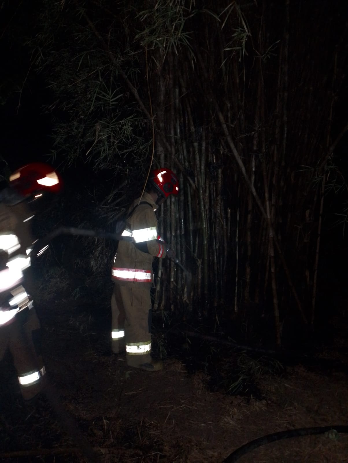 Damkarmat Bojonegoro Tangani Kebakaran Rumpun Bambu di Desa Dengok