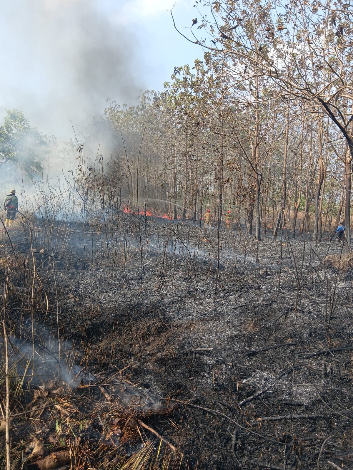 Tangani Kebakaran Hutan, Lahan Tebu Seluas 10 Hektare Berhasil Diselamatkan
