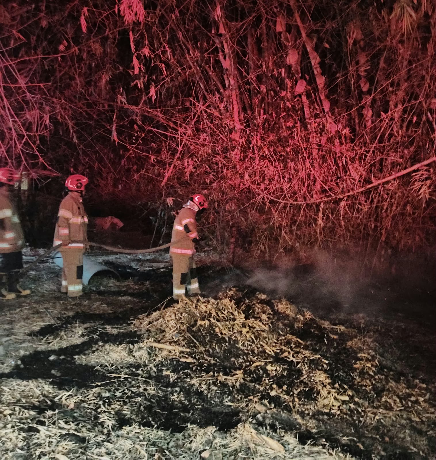 Kebakaran Lahan dan Rumpun Bambu Dekat Permukiman di Padangan Berhasil Dipadamkan