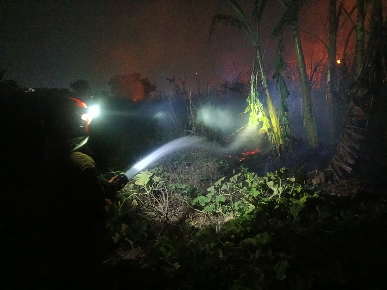 Kebakaran Lahan Tebu Habis Panen di Kelurahan Jetak Berhasil Dipadamkan